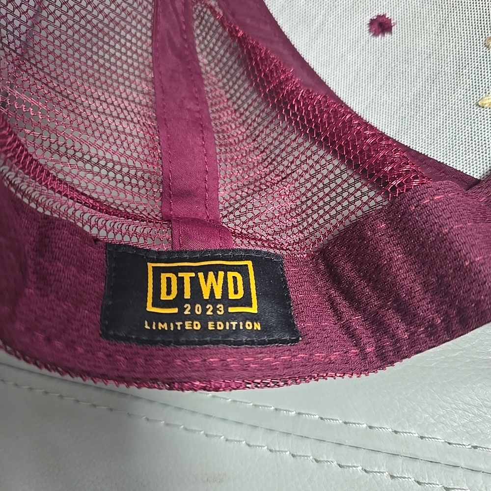 DTWD 2023 Limited Edition Only Noles FSU Florida State Seminoles Snapback Hat - Picture 5 of 5